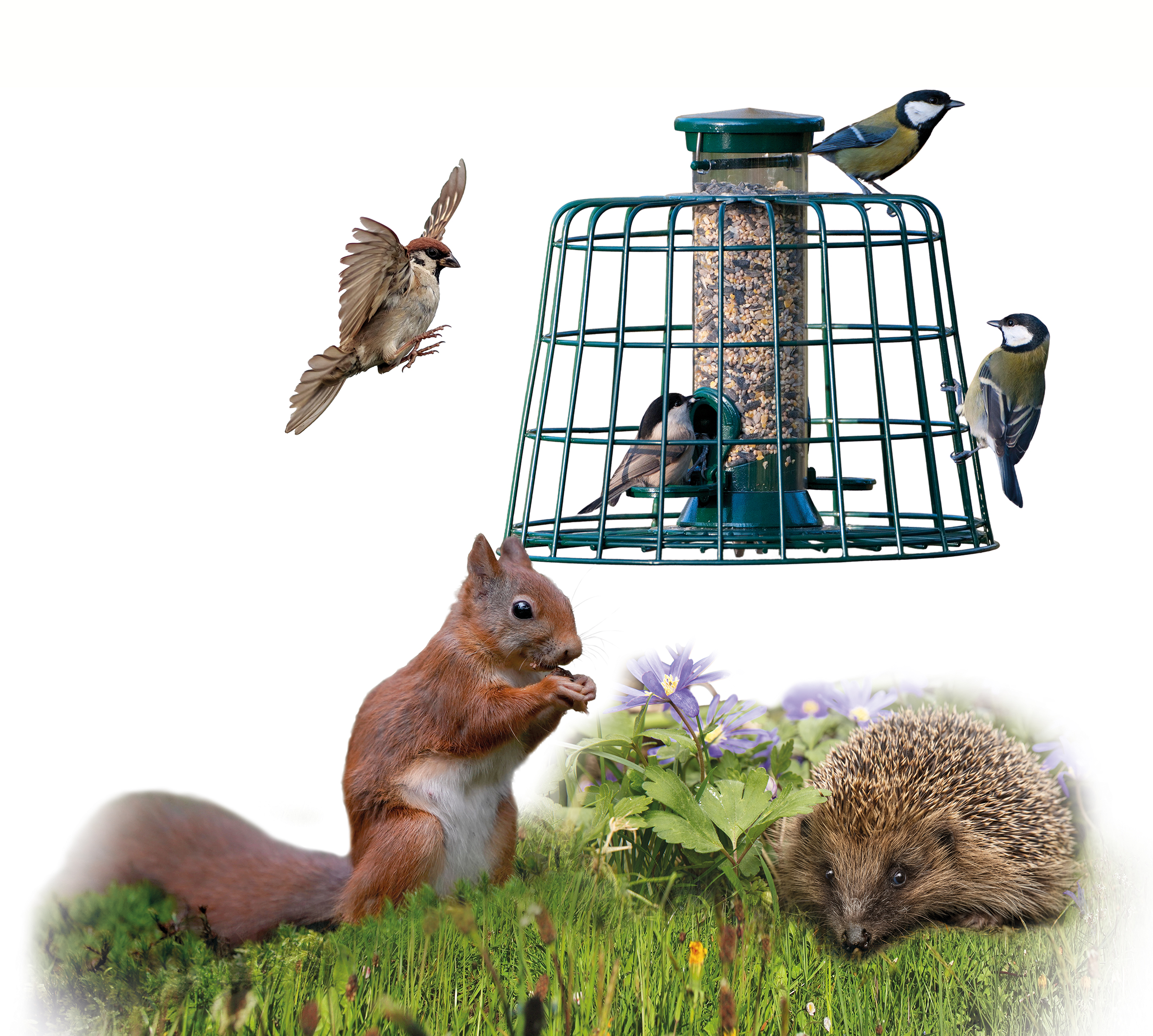 Voerwaarts vogelvoer - eekhoornvoer - egelvoer